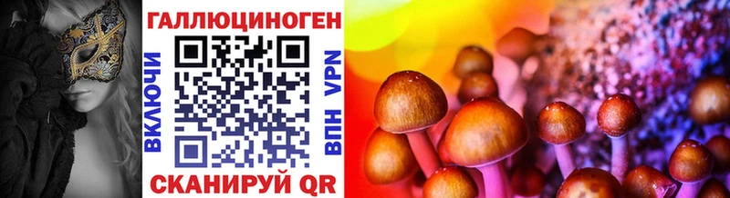 Псилоцибиновые грибы Psilocybe  Купить  Карасук 
