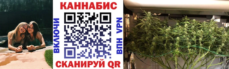 Канабис Bruce Banner  Купить где  Карасук 